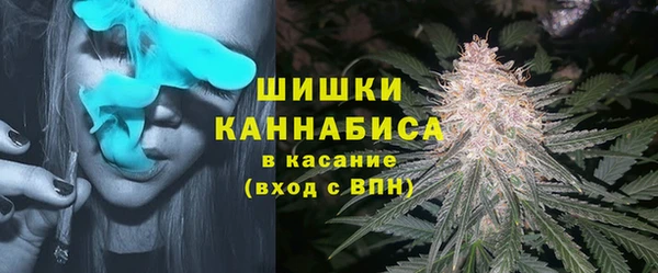 молекула духа Каменногорск