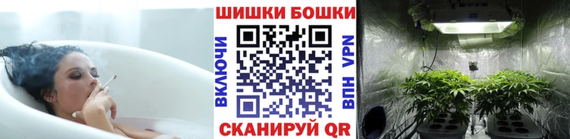Бошки марихуана VHQ  Купить закладки  Невьянск 